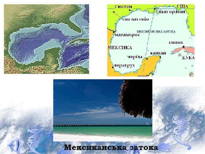 Мексиканська затока 