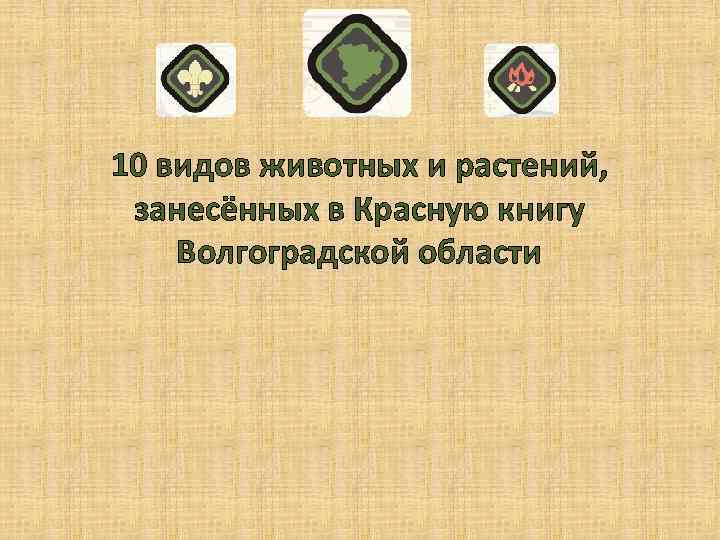 10 видов животных и растений, занесённых в Красную книгу Волгоградской области 