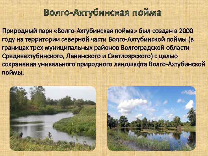 Волго-Ахтубинская пойма Природный парк «Волго-Ахтубинская пойма» был создан в 2000 году на территории северной