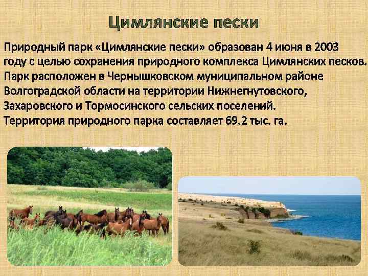 Цимлянские пески Природный парк «Цимлянские пески» образован 4 июня в 2003 году с целью