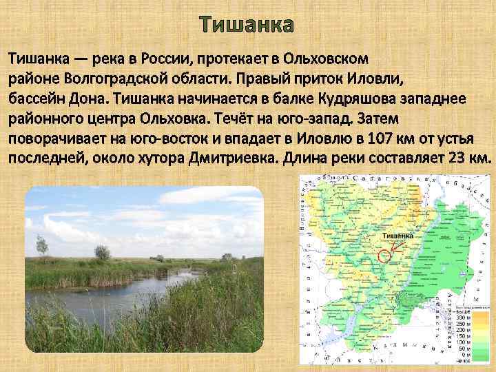 Тишанка — река в России, протекает в Ольховском районе Волгоградской области. Правый приток Иловли,
