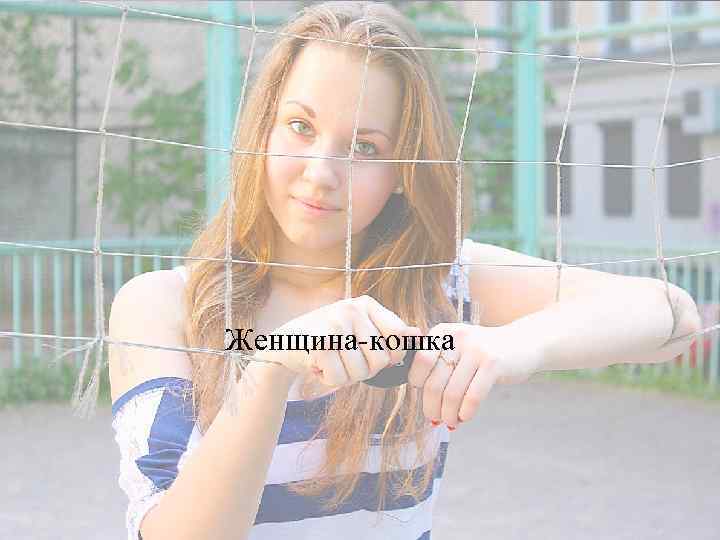 Женщина-кошка 