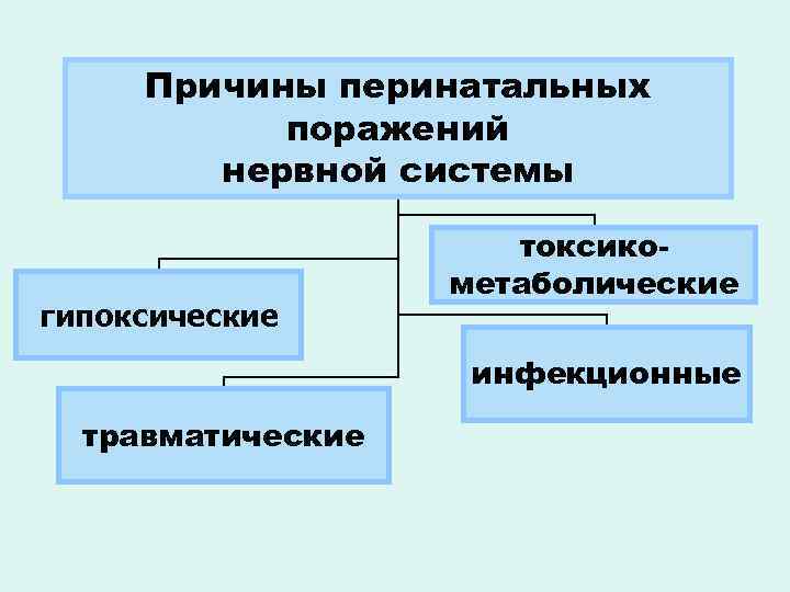 Причины перинатальных поражений нервной системы гипоксические токсикометаболические инфекционные травматические 