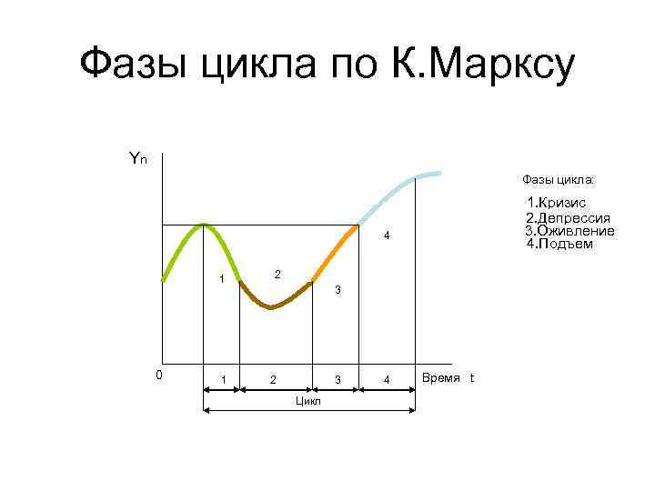 4 стадии цикла