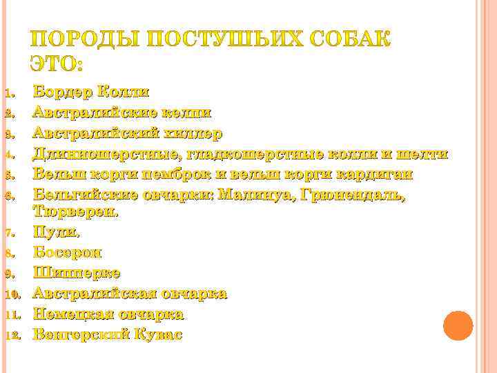 1. 2. 3. 4. 5. 6. 7. 8. 9. 10. 11. 12. Бордер Колли