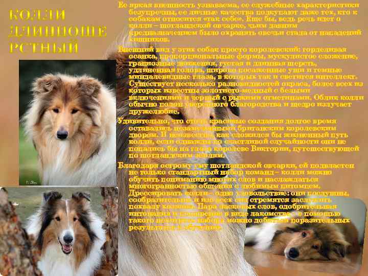 Ее яркая внешность узнаваема, ее служебные характеристики безупречны, ее личные качества подкупают даже тех,