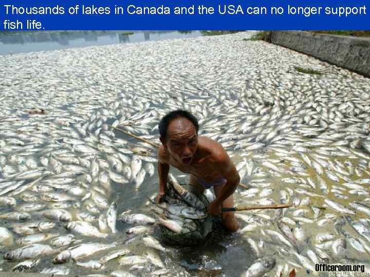 Thousands of lakes in Canada and the USA can no longer support fish life.