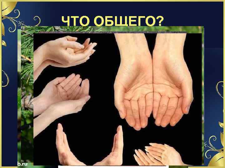 ЧТО ОБЩЕГО? 