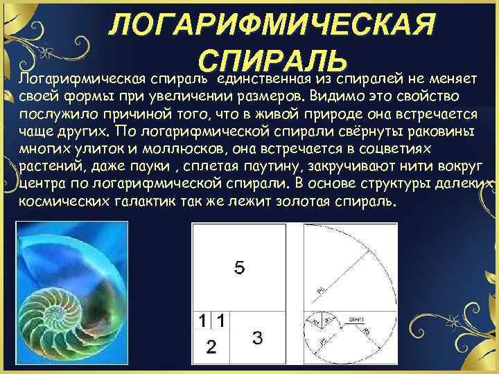 ЛОГАРИФМИЧЕСКАЯ СПИРАЛЬ Логарифмическая спираль единственная из спиралей не меняет своей формы при увеличении размеров.