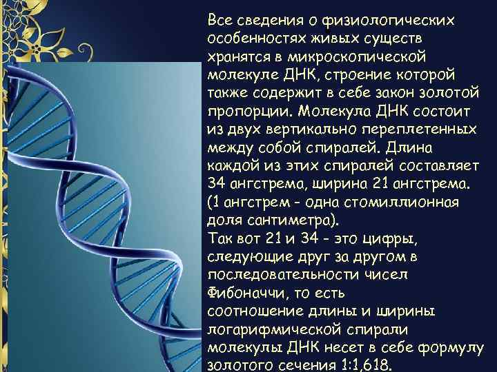 Все сведения о физиологических • особенностях живых существ хранятся в микроскопической молекуле ДНК, строение