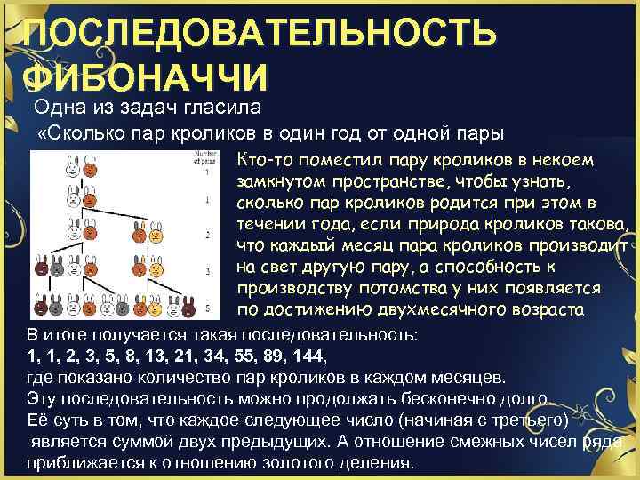 ПОСЛЕДОВАТЕЛЬНОСТЬ ФИБОНАЧЧИ Одна из задач гласила «Сколько пар кроликов в один год от одной