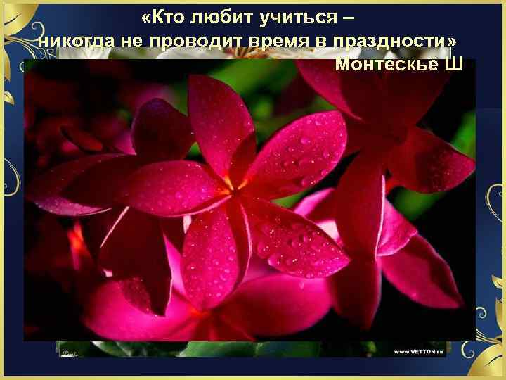  «Кто любит учиться – никогда не проводит время в праздности» Монтескье Ш 