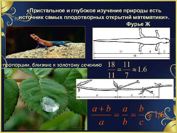  «Пристальное и глубокое изучение природы есть источник самых плодотворных открытий математики» . Фурье