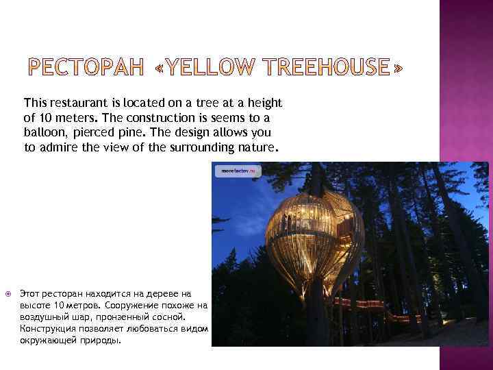 This restaurant is located on a tree at a height of 10 meters. The