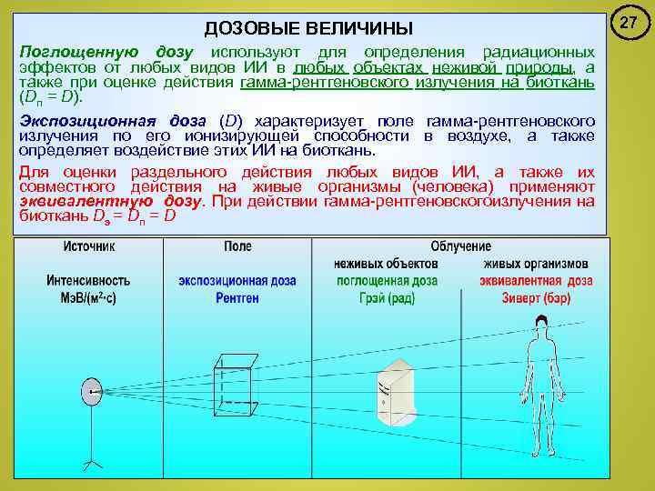 ДОЗОВЫЕ ВЕЛИЧИНЫ Поглощенную дозу используют для определения радиационных эффектов от любых видов ИИ в