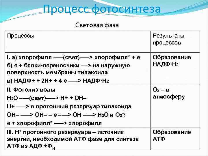 Процесс фотосинтеза Световая фаза Процессы Результаты процессов I. а) хлорофилл –––(свет)–––> хлорофилл* + e