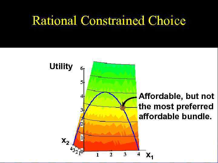 Rational Constrained Choice Utility Affordable, but not the most preferred affordable bundle. x 2