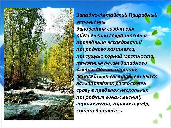 Западно-Алтайский Природный заповедник Заповедник создан для обеспечения сохранности и проведения исследований природного комплекса, присущего