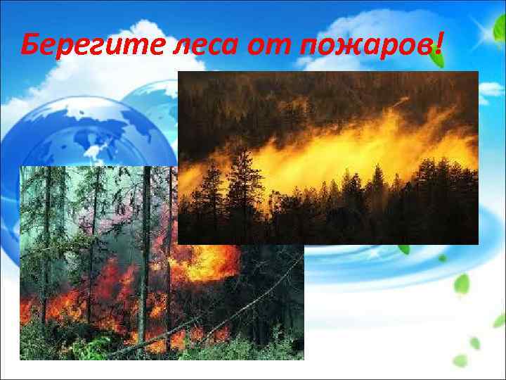 Берегите леса от пожаров! 