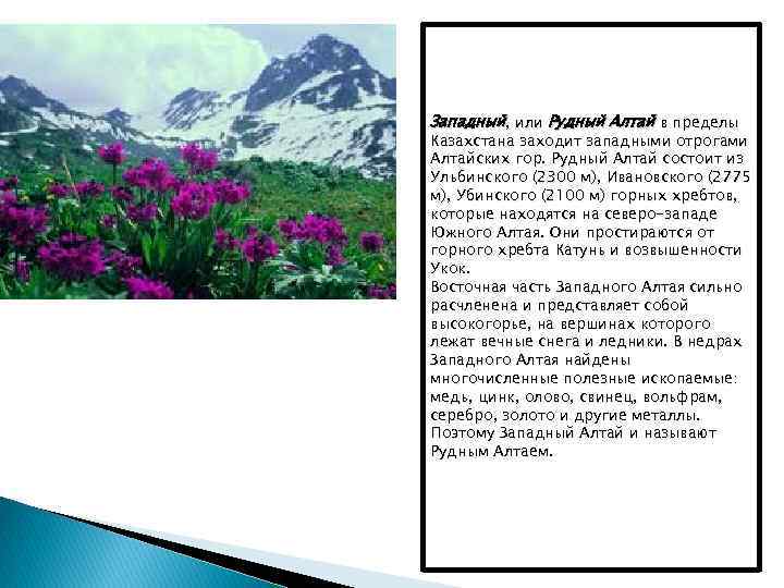 Западный, или Рудный Алтай в пределы Казахстана заходит западными отрогами Алтайских гор. Рудный Алтай