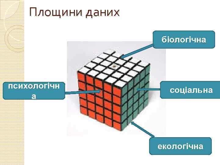 Площини даних біологічна психологічн а соціальна екологічна 