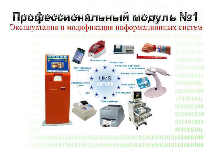 Профессиональный модуль № 1 Эксплуатация и модификация информационных систем 