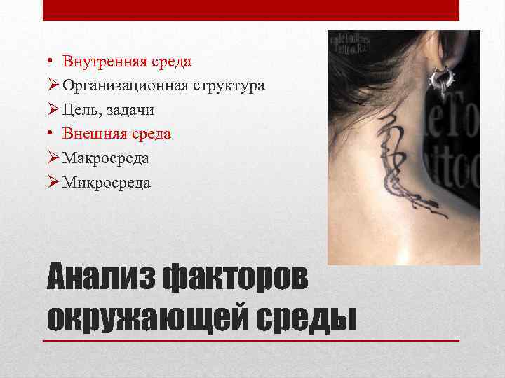  • Внутренняя среда Ø Организационная структура Ø Цель, задачи • Внешняя среда Ø