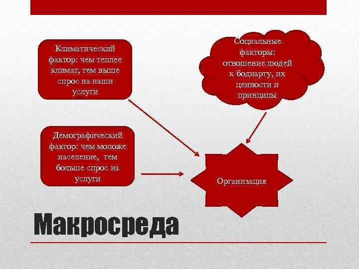 Климатический фактор: чем теплее климат, тем выше спрос на наши услуги Демографический фактор: чем