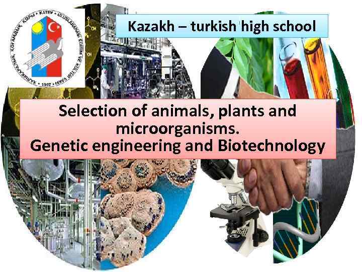 Kazakh – turkish high school Selection of animals, plants and microorganisms. Genetic engineering and