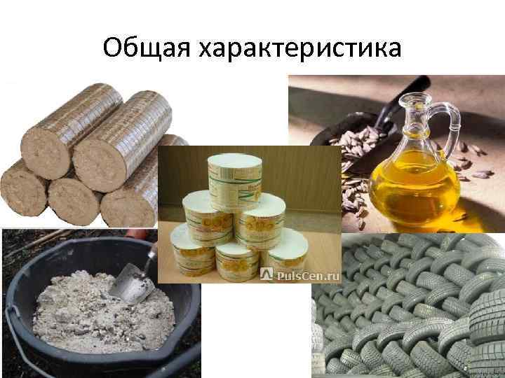 Общая характеристика 