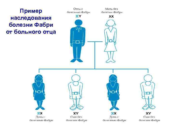 Пример наследования болезни Фабри от больного отца 