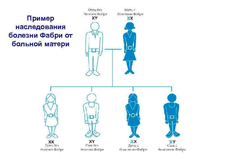 Пример наследования болезни Фабри от больной матери 