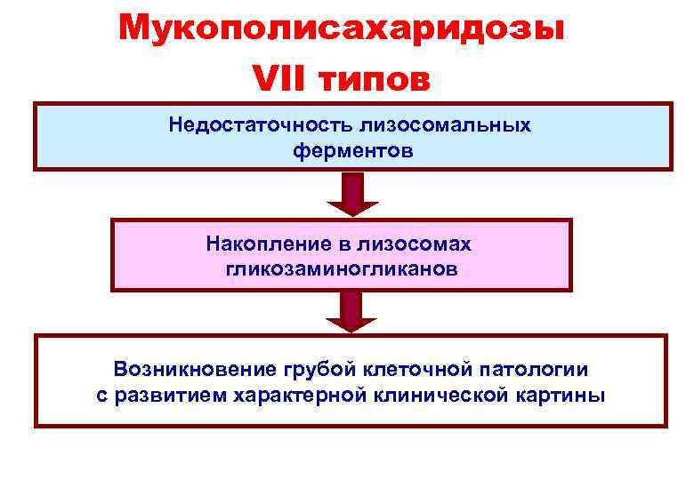 Мукополисахаридозы VII типов Недостаточность лизосомальных ферментов Накопление в лизосомах гликозаминогликанов Возникновение грубой клеточной патологии