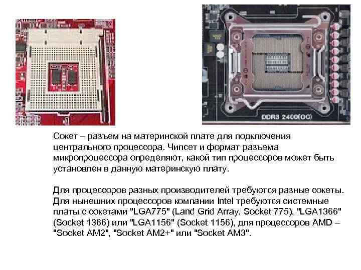 Перечислите три компонента которые должны поддерживать одинаковый тип разъема сокета