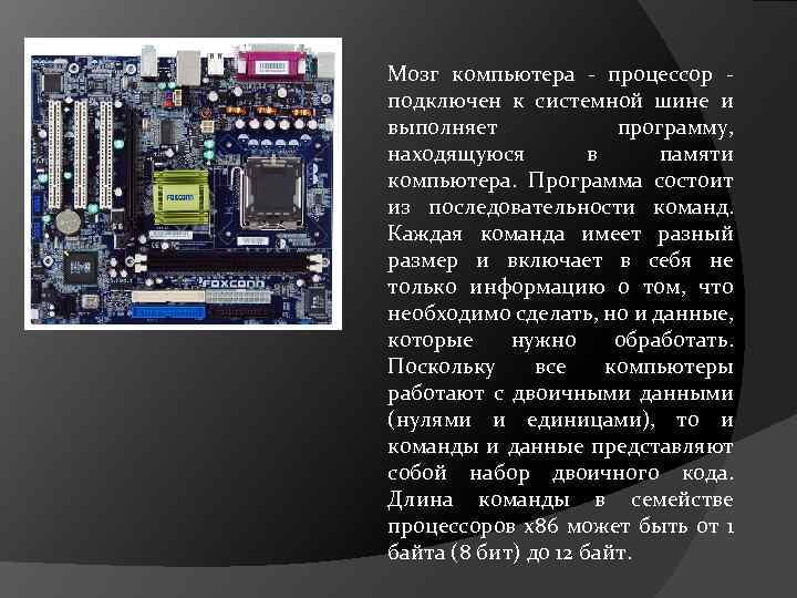 Мозг компьютера - процессор - подключен к системной шине и выполняет программу, находящуюся в