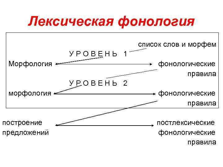 Фонология. Что изучает фонология. Морфология и фонология. Фонология это простыми словами.