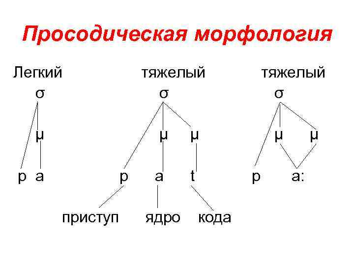 Морфологический анализ первые. Три модели морфологии. Морфологический анализ легкие.