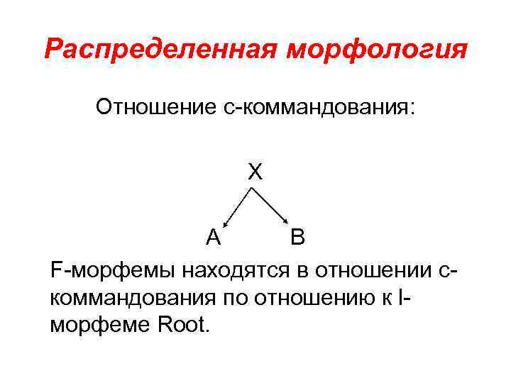 Распределенная морфология Отношение с-коммандования: Х А В F-морфемы находятся в отношении скоммандования по отношению