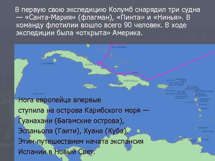 В первую свою экспедицию Колумб снарядил три судна — «Санта-Мария» (флагман), «Пинта» и «Нинья»