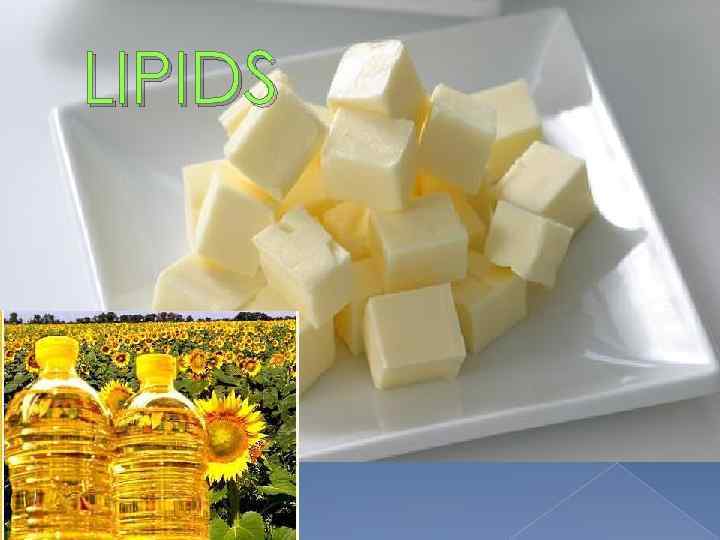 LIPIDS 