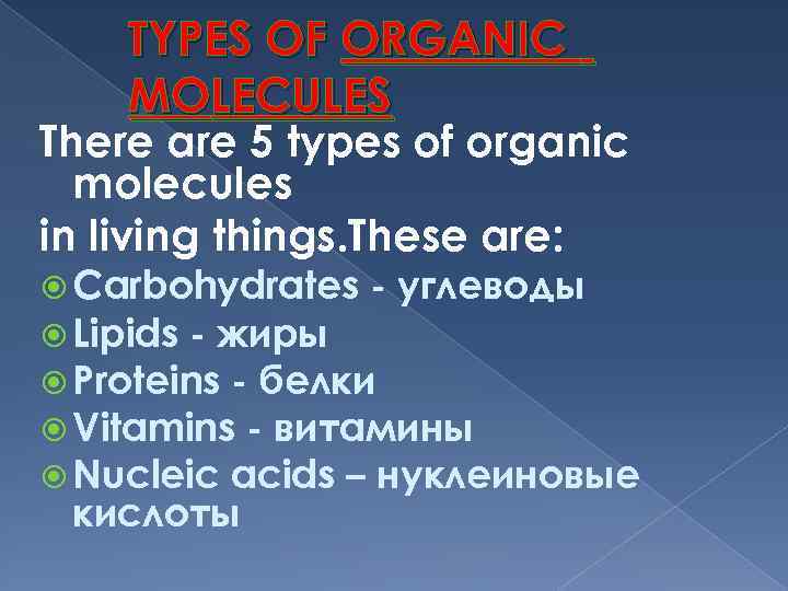 TYPES OF ORGANIC MOLECULES There are 5 types of organic molecules in living things.