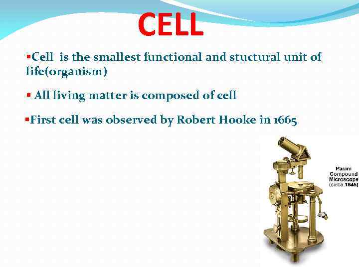 CELL §Cell is the smallest functional and stuctural unit of life(organism) § All living