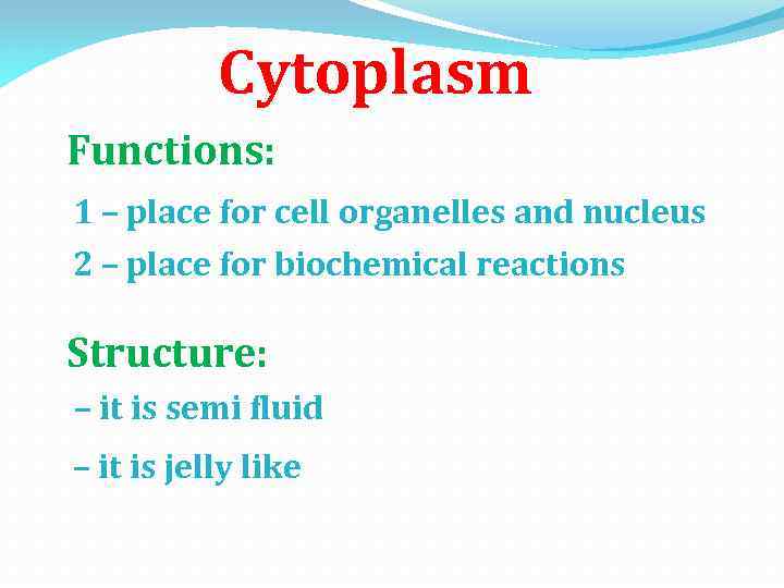 Cytoplasm Functions: 1 – place for cell organelles and nucleus 2 – place for