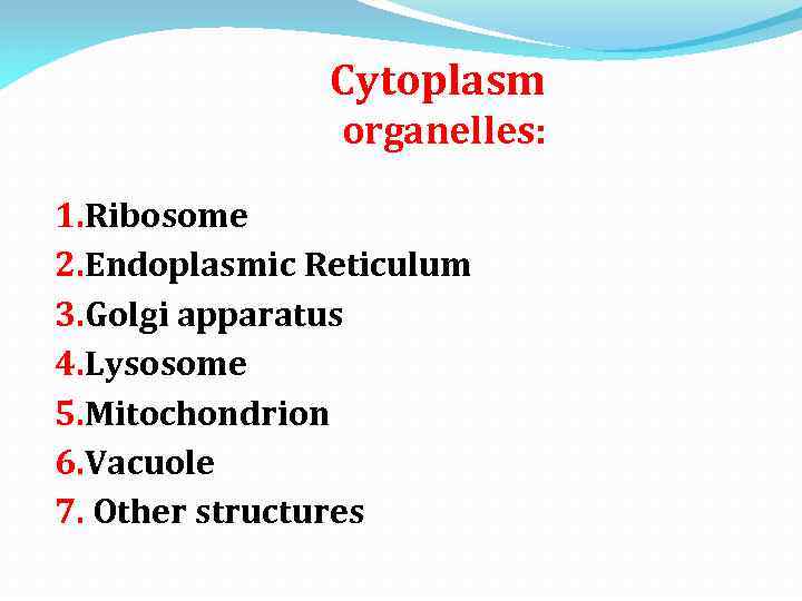 Cytoplasm organelles: 1. Ribosome 2. Endoplasmic Reticulum 3. Golgi apparatus 4. Lysosome 5. Mitochondrion