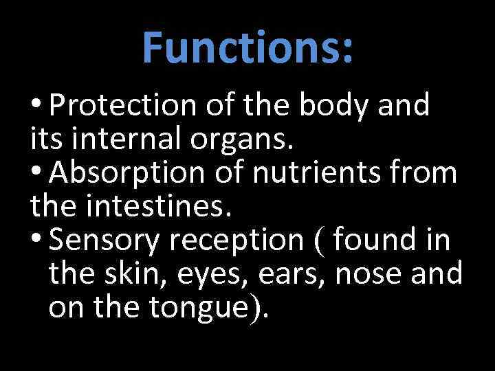Functions: • Protection of the body and its internal organs. • Absorption of nutrients