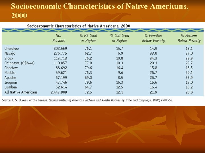 Socioeconomic Characteristics of Native Americans, 2000 