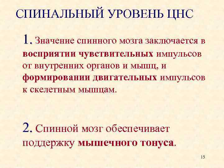 СПИНАЛЬНЫЙ УРОВЕНЬ ЦНС 1. Значение спинного мозга заключается в восприятии чувствительных импульсов от внутренних