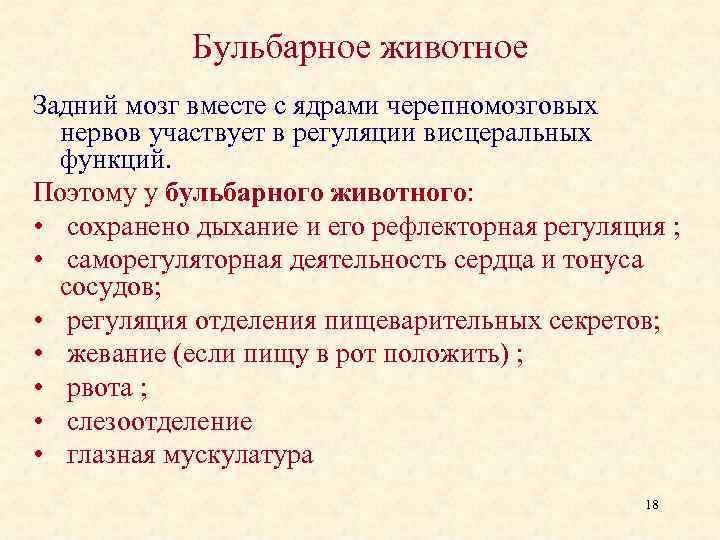 Бульбарное животное Задний мозг вместе с ядрами черепномозговых нервов участвует в регуляции висцеральных функций.