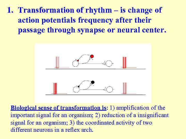 1. Transformation of rhythm – is change of Transformation of rhythm action potentials frequency