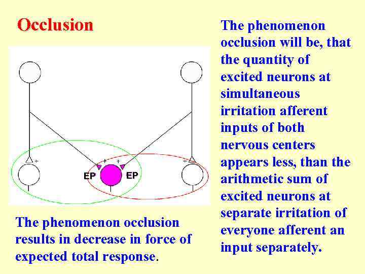  Occlusion EP EP The phenomenon occlusion results in decrease in force of expected